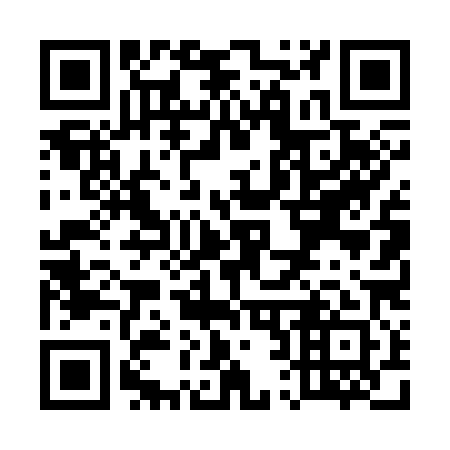 QR code for U24381