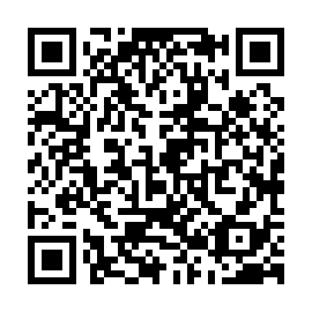 QR code for U28138