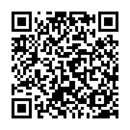 QR code for U28225