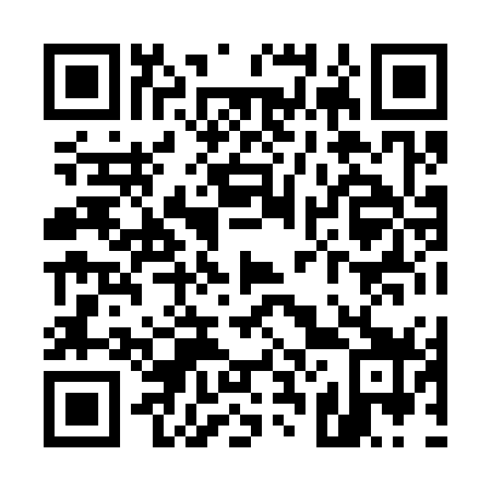 QR code for U28379