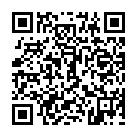 QR code for U29256