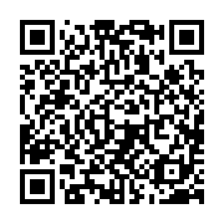 QR code for U30391