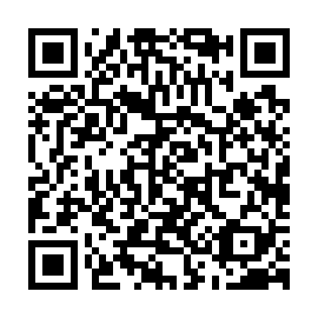 QR code for U30729