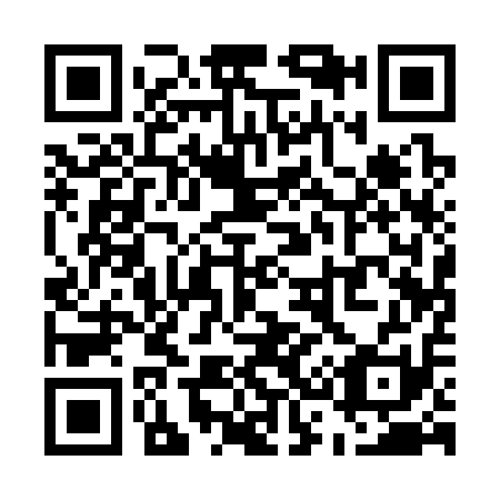 QR code for U31311