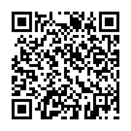 QR code for U31386
