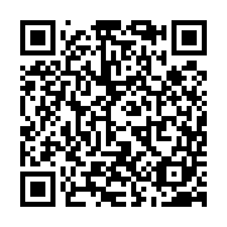 QR code for U31541