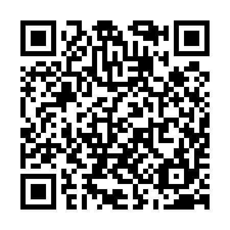 QR code for U31594