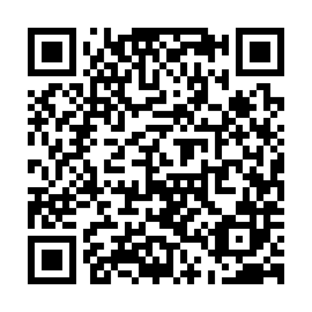 QR code for U45382