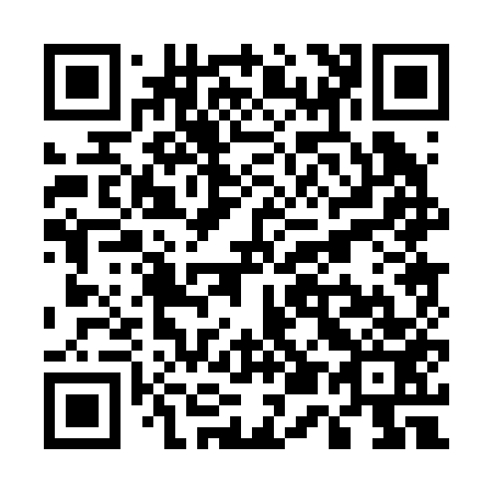 QR code for U50253