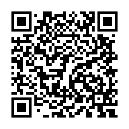 QR code for U51595
