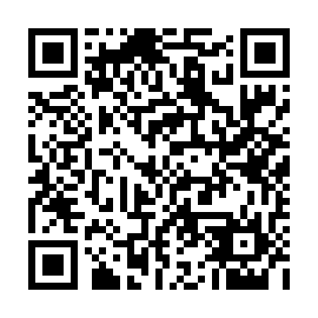 QR code for U53636