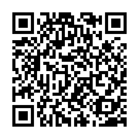 QR code for U53938