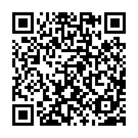 QR code for U60295