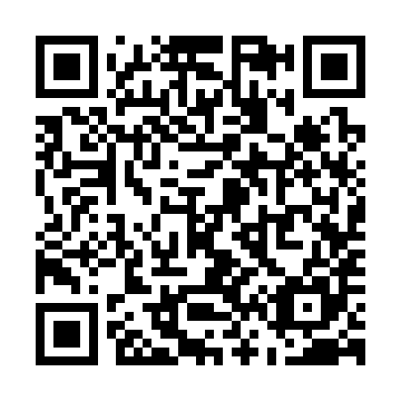 QR code for U63385