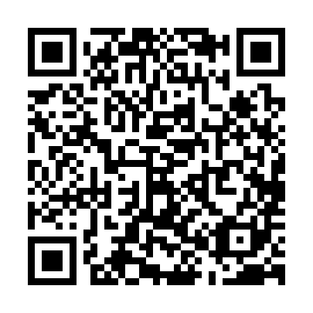 QR code for U80381