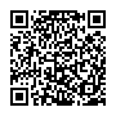 QR code for U81593