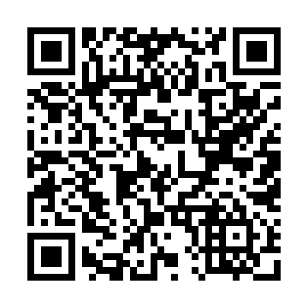QR code for U85095