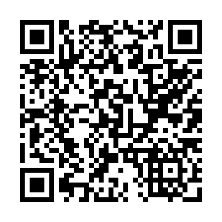 QR code for U86287