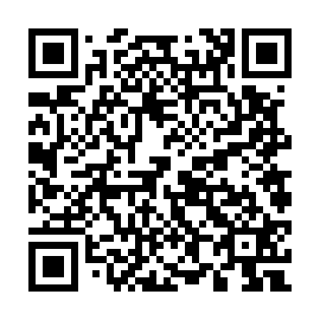 QR code for U86521