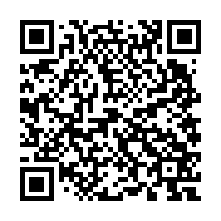 QR code for U86663