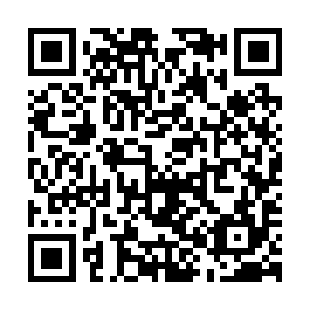 QR code for U87294