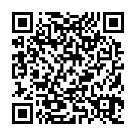 QR code for U91325