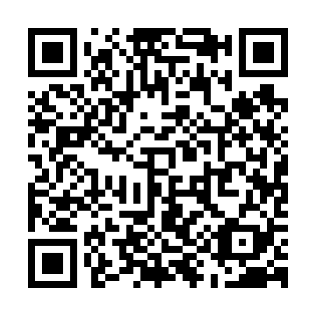 QR code for U91629