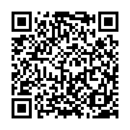 QR code for U92333