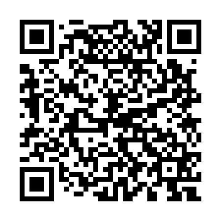 QR code for U93161