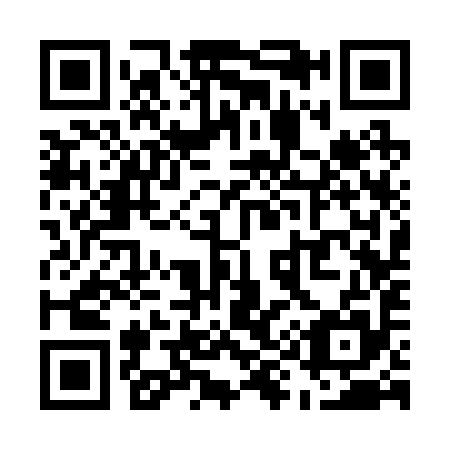 QR code for U93295