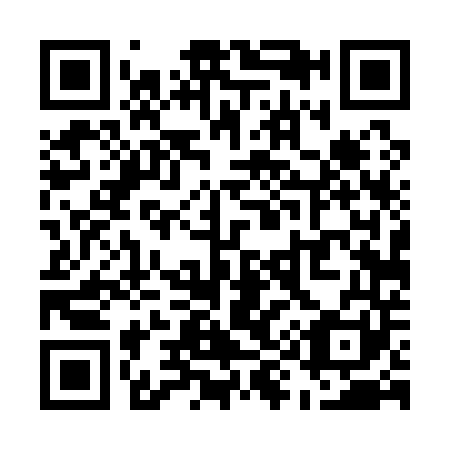QR code for U94141