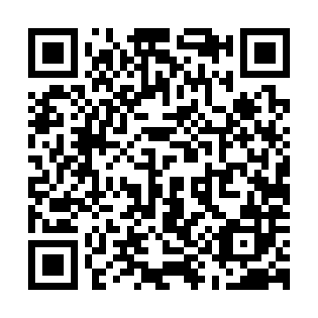 QR code for U94382