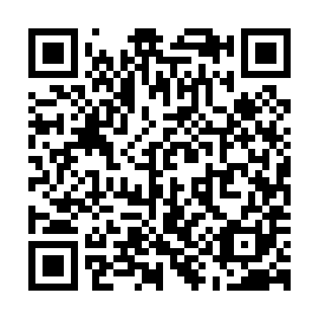 QR code for U95081