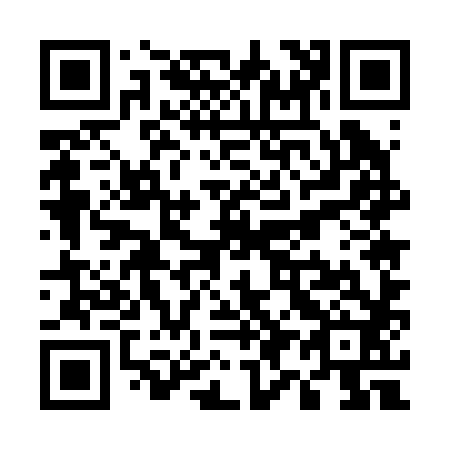QR code for U95282