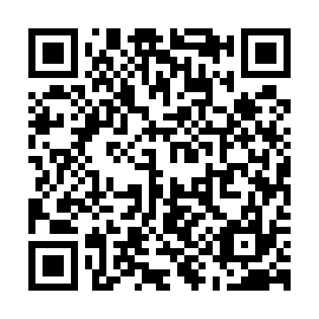 QR code for U95537