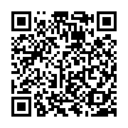 QR code for U95538