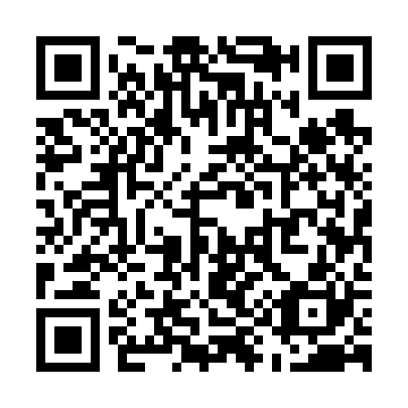 QR code for U95620