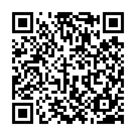 QR code for U95634