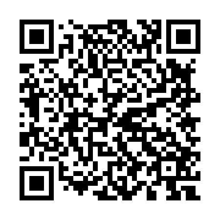 QR code for U95806
