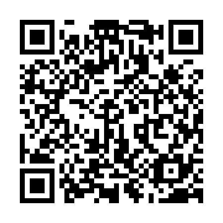 QR code for U95935