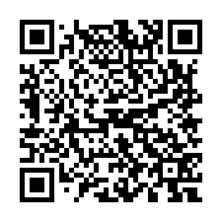 QR code for U95973