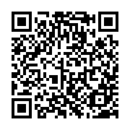 QR code for U96382