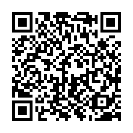 QR code for U98938