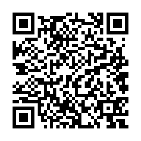 QR code for plate UAV-3311
