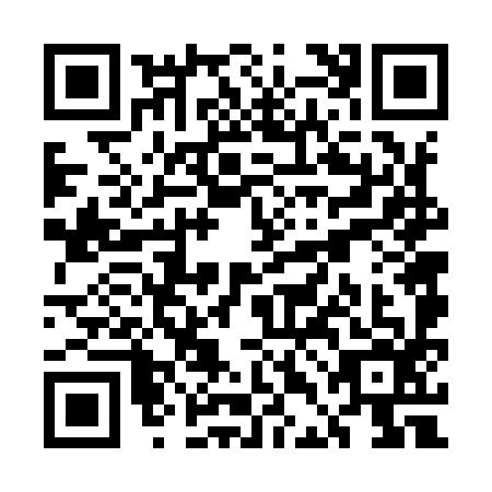 QR code for UDF-9966