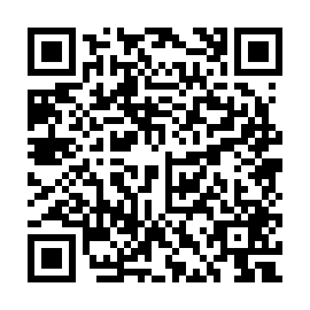 QR code for UDP-2494