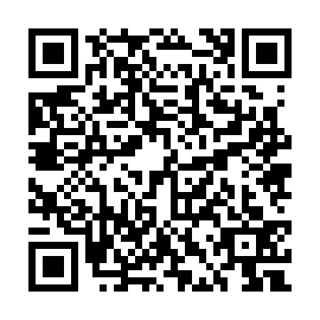 QR code for UDZ3334