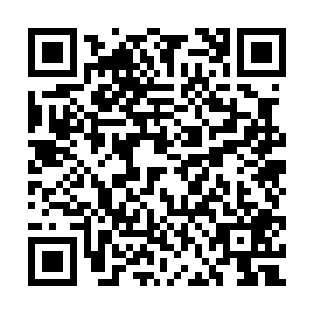 QR code for plate UFO-0090