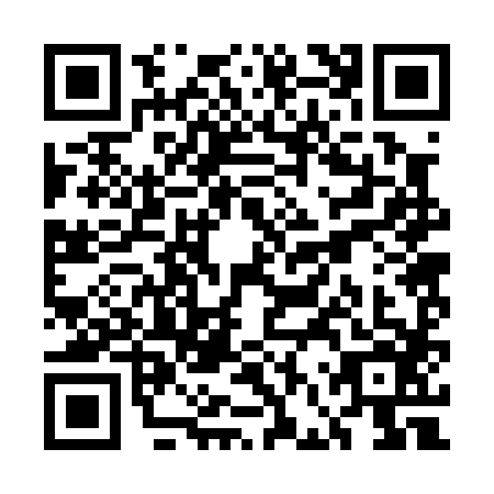 QR code for plate UFR-0861
