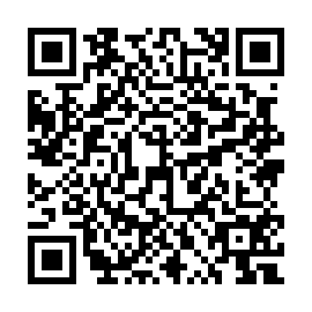 QR code for plate UPI-0541